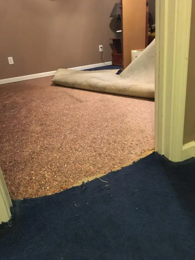 Carpet pad removal revealing water damage during Drying & Dehumidification in Havre de Grace