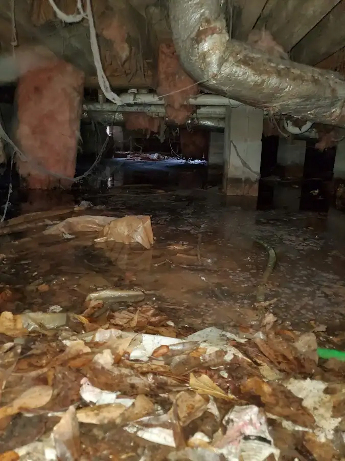 Crawl space flood assessment for Leak Detection & Repair in Havre de Grace