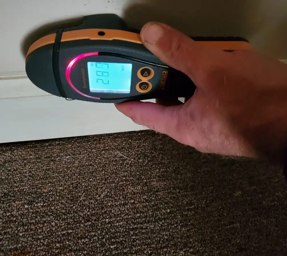 Moisture detection at baseboard during Sewage Cleanup & Sanitation in Havre de Grace